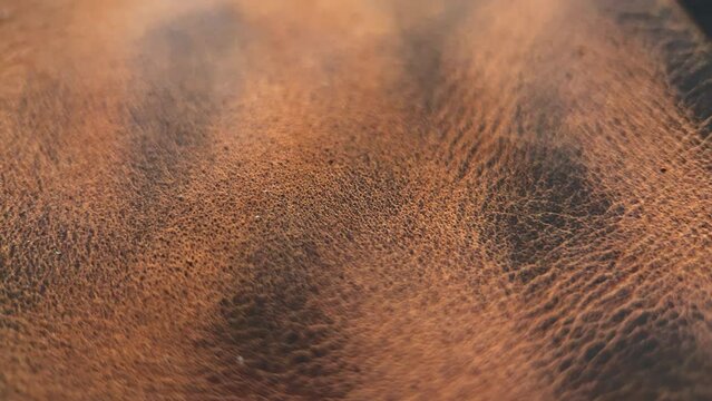 Rotation Brown Leather Texture