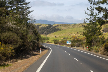 Fototapeta na wymiar curved road between trees with mountain in the background and sign in north island of new zealand