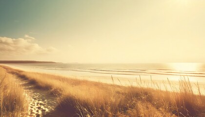 serene seaside with dry grass warm sun tones soft shadows and calm serene atmosphere - Powered by Adobe