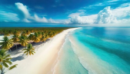 tropical beach from the air with white sands