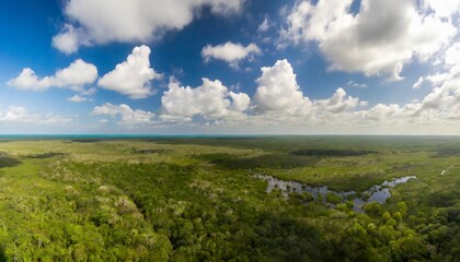 Fototapeta na wymiar jungle from above calakmul biosphere reserve in yucatan mexico