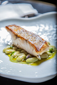 Merluza a la plancha con jud&iacute;as verdes verdinas guisadas en un plato blanco de loza de un restaurante