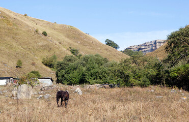 Obraz premium Scenic mountain road. Karachay-Cherkessia. Russia