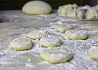 Fototapeta na wymiar ku nipples cut into dough lie on the table sprinkled with flour 
