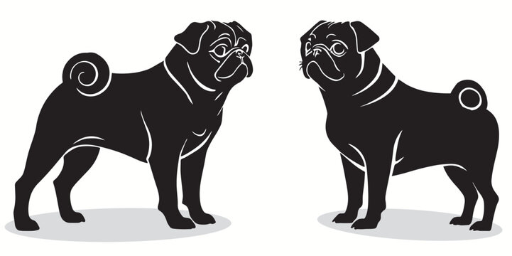 Pug silhouettes and icons. Black flat color simple elegant white background Pug animal vector and illustration.