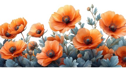  a close up of a bunch of flowers on a white background with blue and orange flowers in the middle of the picture and the bottom half of the flowers in the middle of the frame.