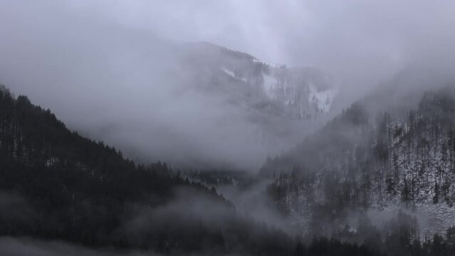 Fog in the Mountains