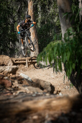 mountain cyclist jumping off a ramp in the forest