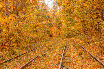 Autumn forest through which the tram travels, Kyiv and rails