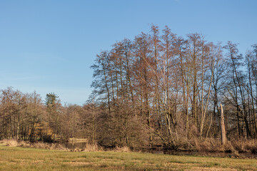 Wasserschloß und Dorf Gemen im Münsterland