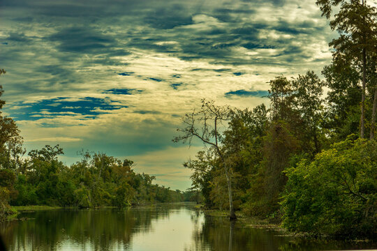 New Orleans Crocodile National Park