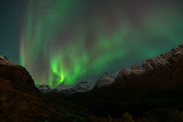 Northern Lights Lofoten Å