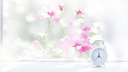 Window with flowers on the outside and a white alarm clock.