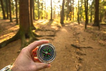 The compass in the hands of the traveler, forest