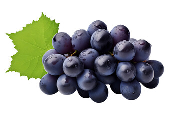 Blue wet grapes bunch with leaves isolated on transparent background PNG