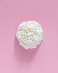 White flower handmade soy wax candle isolated on pink background.