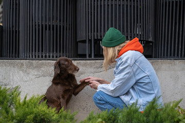 Warm-hearted long-haired hipster guy sitting on haunches, caressing stray dog. Homeless pet giving...