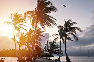 Sunset over the Caribbean. San Blas islands, Guna Yala, Panama. - obrazy, fototapety, plakaty