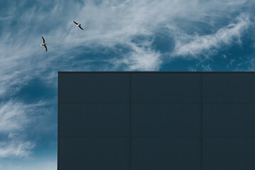A fragment of the facade of a modern building with birds in the blue sky 