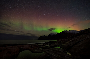 Senja Tungeneset Auora