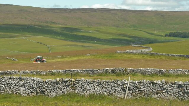 Vast meadows with grazing animals bordered by a stone wall and tractor cutting grass for fodder. Use of modern machinery for farming. Sunny day in the countryside of Yorkshire Dales National Park.