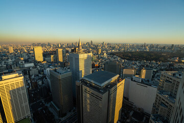 The panorama of Tokyo, Japan
