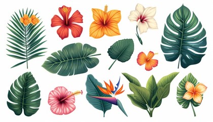 Fototapeta premium Tropical flowers, palm leaves, jungle leaf, bird of paradise flower, isolated on white background