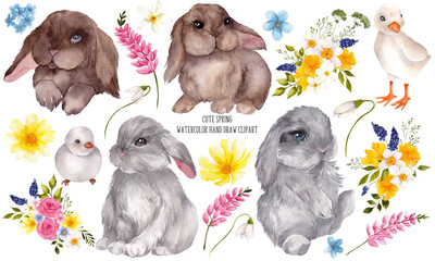 Watercolor hand draw clipart. Cute spring animals, goose, lamb, bunny, birds and firs flowers, green grass, meadow floral, isolated on white background