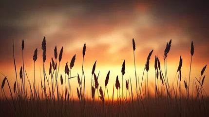 Gordijnen Serene landscape with a field and the sun setting behind it, casting a warm glow across the sky. The scene captures the beauty of nature at sunset. © Nataliya