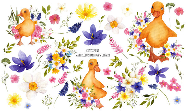 Watercolor hand draw clipart. Cute spring animals, goose, lamb, bunny, birds and firs flowers, green grass, meadow floral, isolated on white background