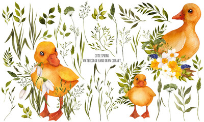 Watercolor hand draw clipart. Cute spring animals, goose, lamb, bunny, birds and firs flowers, green grass, meadow floral, isolated on white background