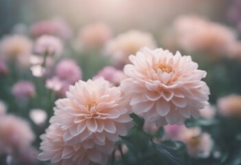 Soft blur pastel flower closeup background