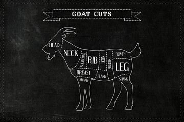 Cut of meat set. Poster Butcher diagram, scheme - Goat.