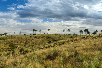 Paisaje de campo y montaña con pastizales amarillos y verdes. Cielo con nubes en el atardecer. Concepto de naturaleza y ecología © Guillermo