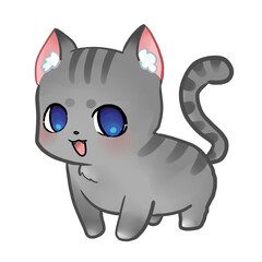 gato feliz, felino, gatito sonreir gris y negro