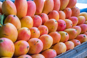 Display of Mangga Podang (Podang Mango variety) or Mangga Kenyot on a market stall. Originated from Kediri, East Java, Indonesia. Known for its vibrant red-orange skin, with sweet and juicy flesh.
