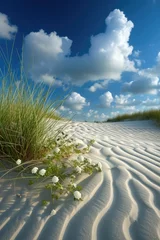 Papier Peint photo Lavable Mer du Nord, Pays-Bas Sand dunes at North sea beach