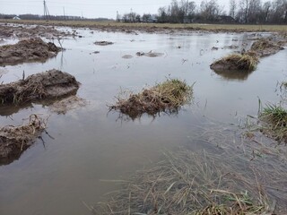 Powodzie - woda na polach © tomo81