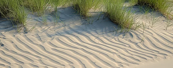 Afwasbaar Fotobehang Noordzee, Nederland Sand dunes at North sea beach
