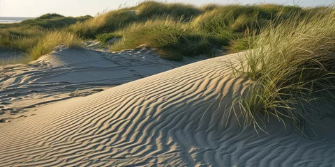 Papier Peint photo Lavable Mer du Nord, Pays-Bas Sand dunes at North sea beach