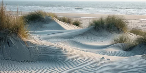 Foto op Aluminium Noordzee, Nederland Sand dunes at North sea beach