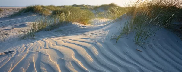 Photo sur Plexiglas Mer du Nord, Pays-Bas Sand dunes at North sea beach