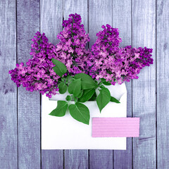 Stylish greeting card with a bouquet of lilacs in an envelope