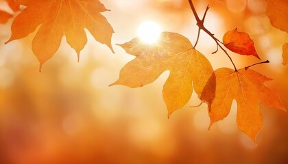 Naklejka na ściany i meble Abstract autumn nature background, with leaves on a branch, glowing sun and warm seasonal colors wallpaper created with generative ai