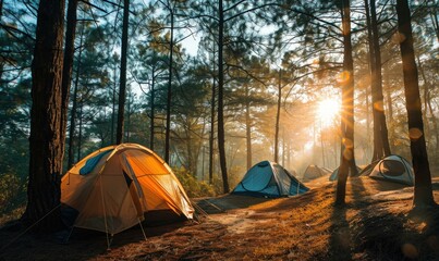 Tents in the forest at sunrise. Generative AI.