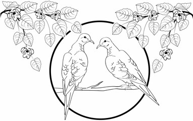birds doves with flowers design element