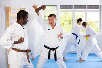 Two men practicing punches during karate classes in the gym