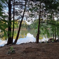 Trees and clouds reflected on the surface of Lake Ginninderra. Belconnen, Canberra ACT Australian Capital Territory Australia