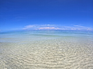 Fototapeta premium beach and blue sky