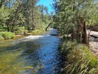 Cotter River in the Australian Capital Territory ACT Australia. Gently flowing river with tree lined banks